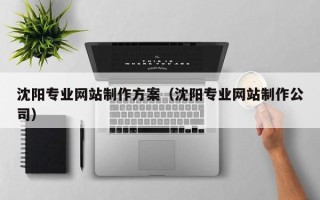 甘南沈阳专业网站制作方案（沈阳专业网站制作公司）